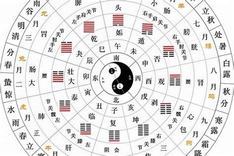 2020年天干地支|2020年天干地支什么年？